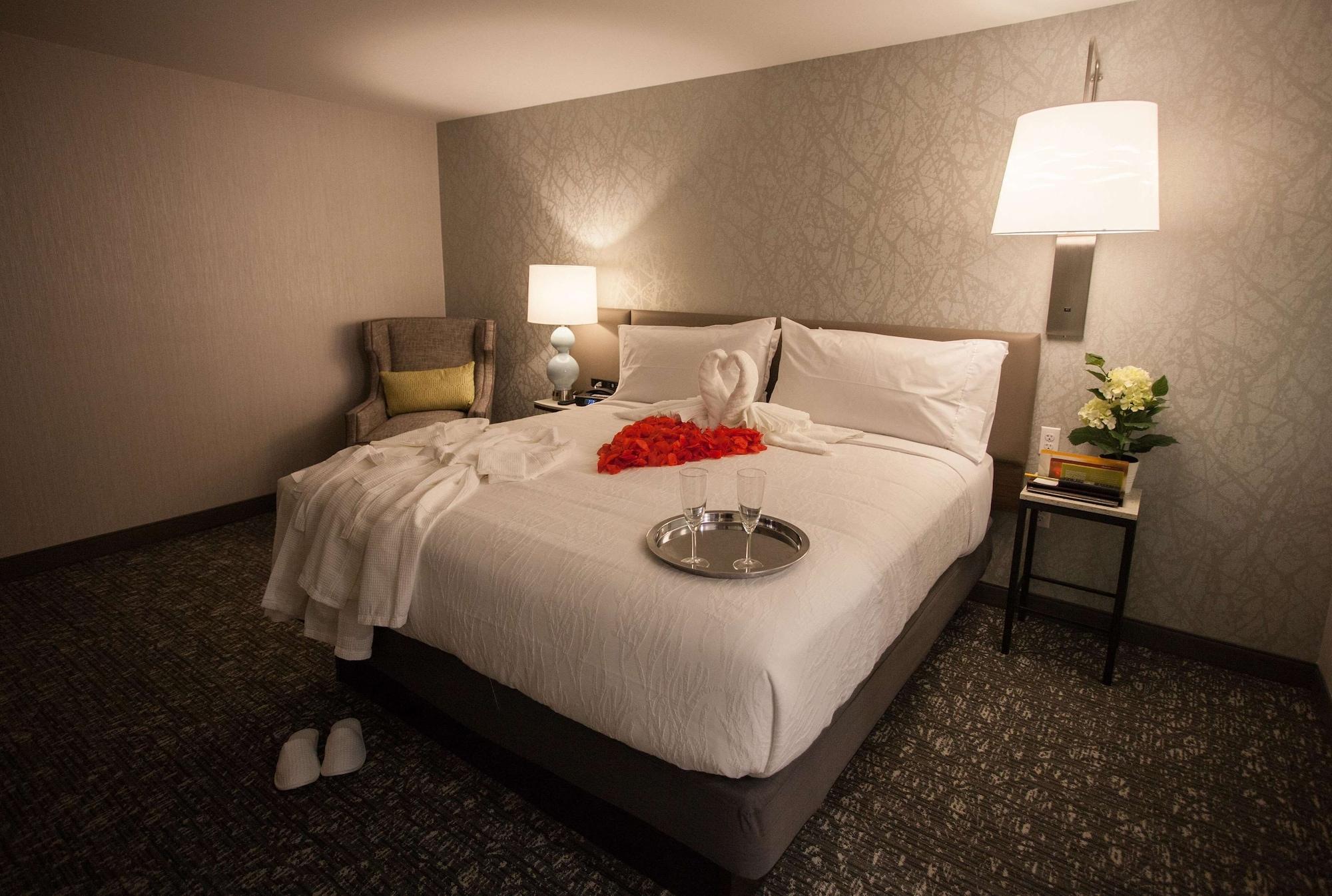 Hilton Garden Inn Springfield Luaran gambar